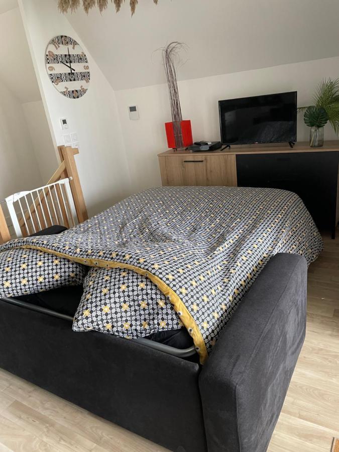 מונטבראן Bel Appartement « The Lion King » Proche Disney מראה חיצוני תמונה